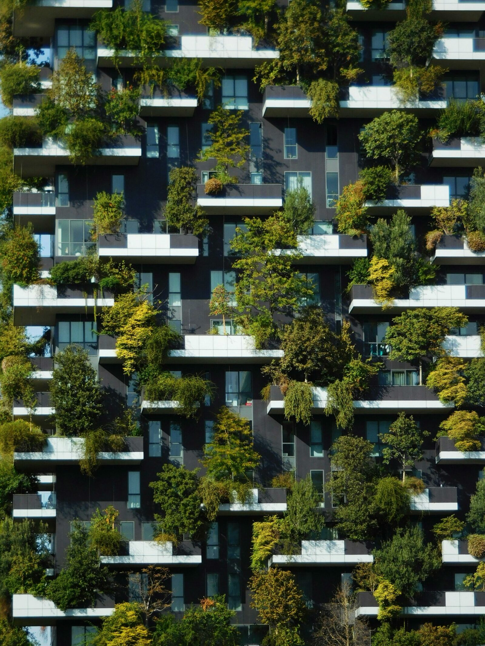 Gestione del Verde Urbano: manutenzione, normative e impatto sulla città